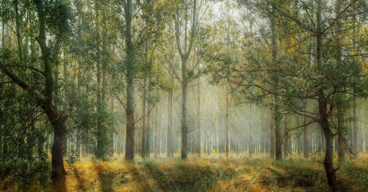 快手代理商是哪家？快手现在投放广告需要多少钱？