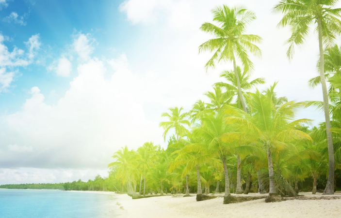 360广告现在跑二手车成本有多少?360广告开户流程有哪些? 360广告现在跑二手车成本有多少?360广告开户流程有哪些?