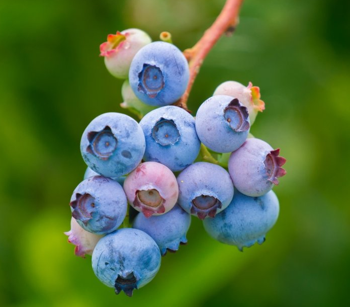 百度搜索广告怎么做?百度代理商是哪家? 百度搜索广告怎么做?百度代理商是哪家?