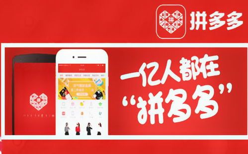 在拼多多上买东西地址怎么填?看这篇就够了! 在拼多多上买东西地址怎么填?看这篇就够了!