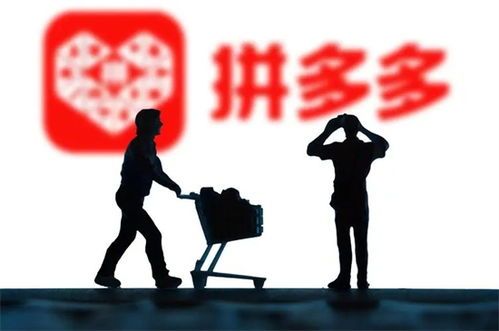 拼多多先用后付15天,让你购物无忧,体验升级! 拼多多先用后付15天,让你购物无忧,体验升级!
