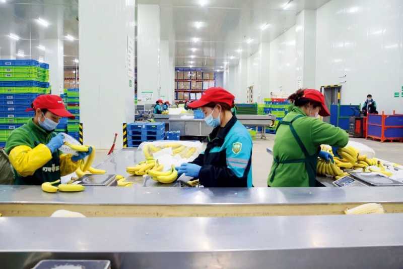 生鲜电商,不赚钱的“好生意”? 生鲜电商,不赚钱的“好生意”?