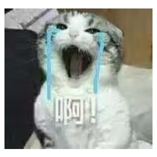 淘宝上有哪些好的美食店铺？