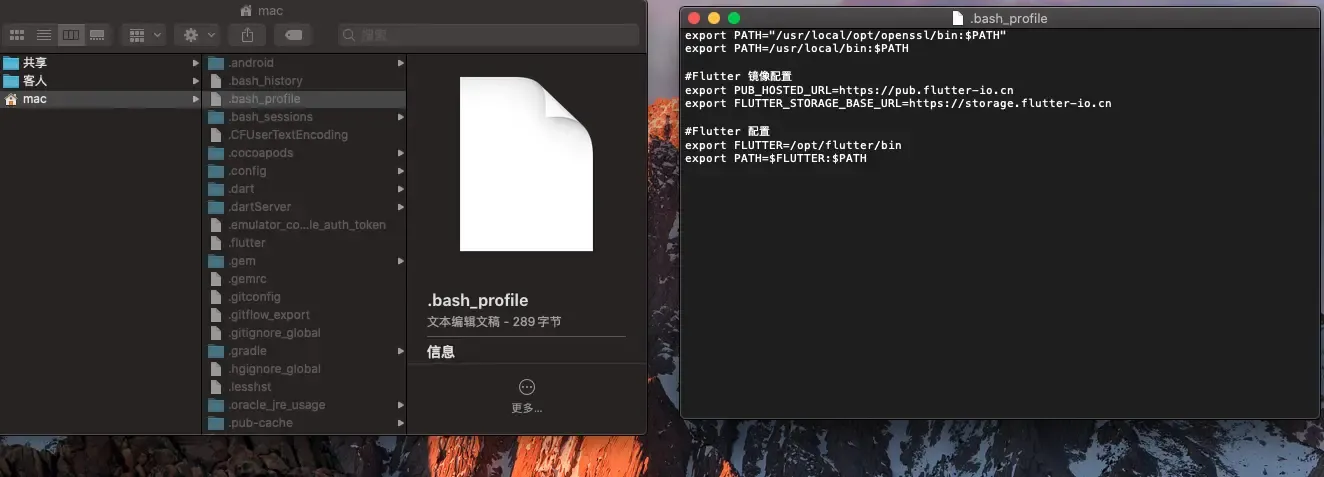 Flutter环境安装-iOSer
