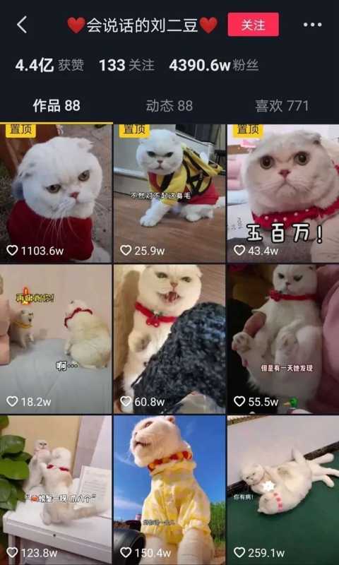 “它经济”、“云吸宠”背后的生意经 “它经济”、“云吸宠”背后的生意经