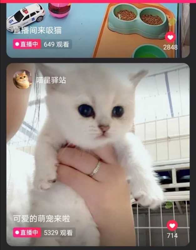 “它经济”、“云吸宠”背后的生意经 “它经济”、“云吸宠”背后的生意经