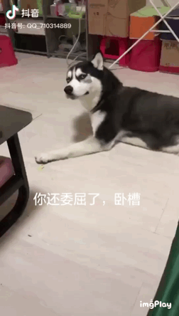 25个抖音号运营小技巧！银行人必看！