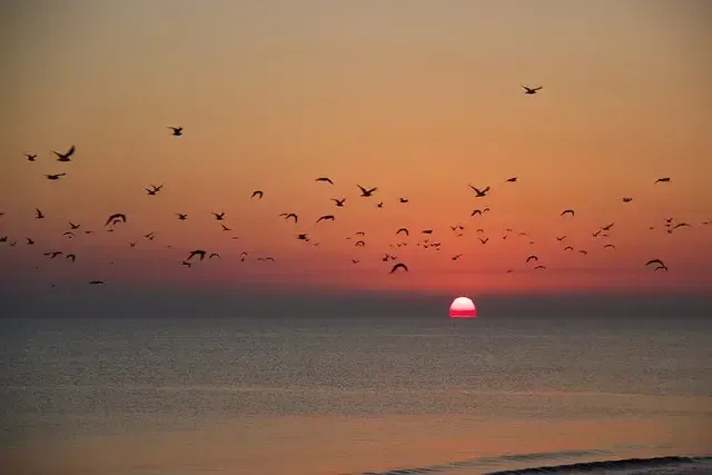 数据迁移测试教程:完整测试指南 数据迁移测试教程:完整测试指南