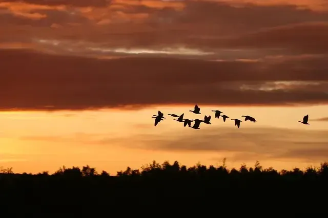 数据迁移测试教程:完整测试指南 数据迁移测试教程:完整测试指南