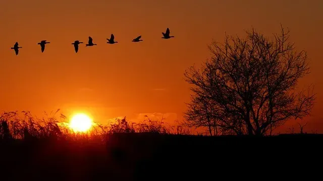 数据迁移测试教程:完整测试指南 数据迁移测试教程:完整测试指南