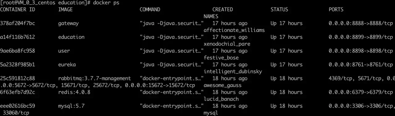 全栈式部署:SpringCloud 微服务+Docker + Vue + nginx 前后端一站式部署(上篇) 全栈式部署:SpringCloud 微服务+Docker + Vue + nginx 前后端一站式部署(上篇)