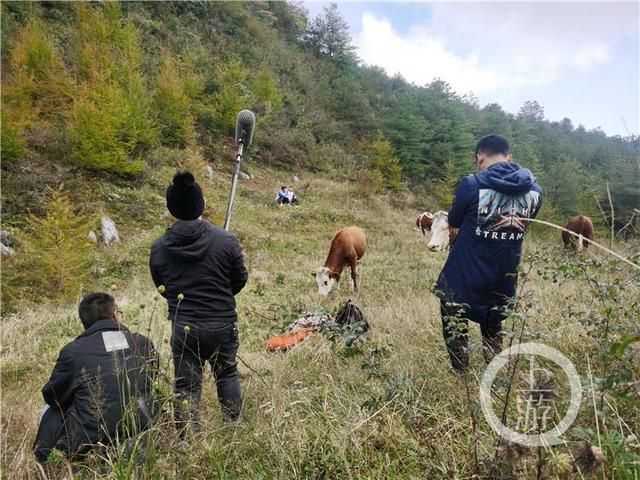 爆款播放量超2000万!这个接地气的抖音号运营团队是一群90后 爆款播放量超2000万!这个接地气的抖音号运营团队是一群90后