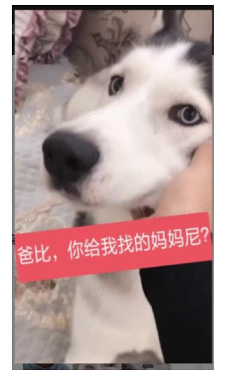 快手商业化广告审核分享 快手商业化广告审核2020年的第一封信