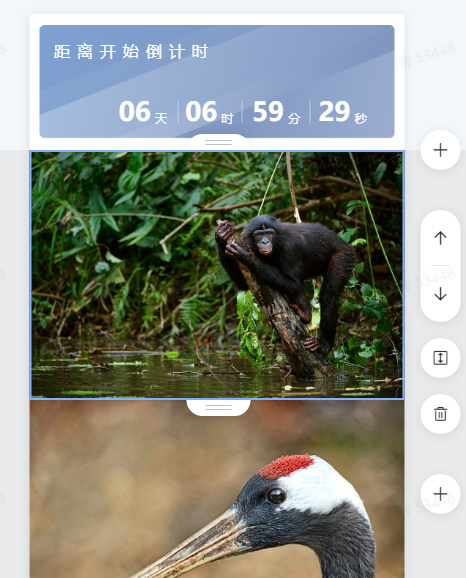 磁力建站产品使用手册,快手广告的磁力建站怎么使用? 磁力建站产品使用手册,快手广告的磁力建站怎么使用?