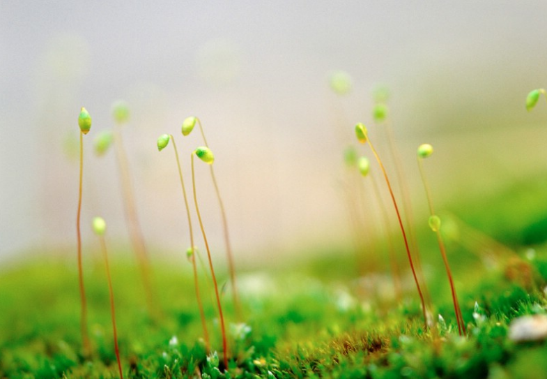 360推广费用是多少？360广告开户流程是怎样的？