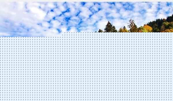 什么是淘宝账号违规行为（淘宝一般违规行为具体内容）