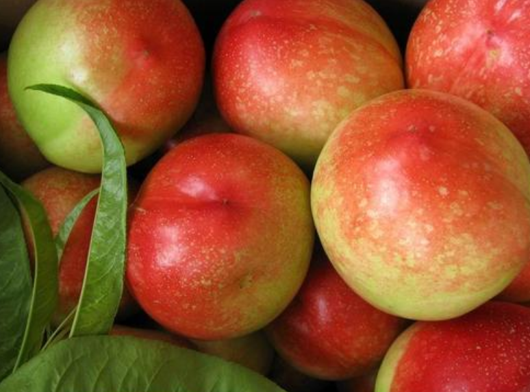 快手短视频广告怎么收费?快手广告怎么做? 快手短视频广告怎么收费?快手广告怎么做?