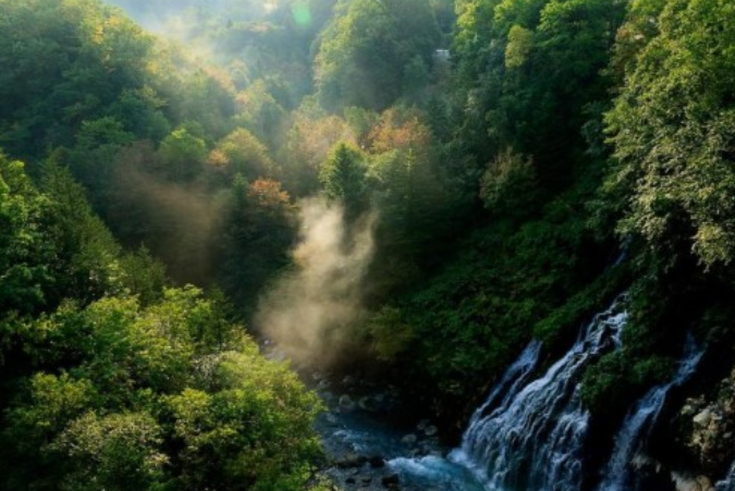升学教育如何利用快手广告有效引流? 升学教育如何利用快手广告有效引流?