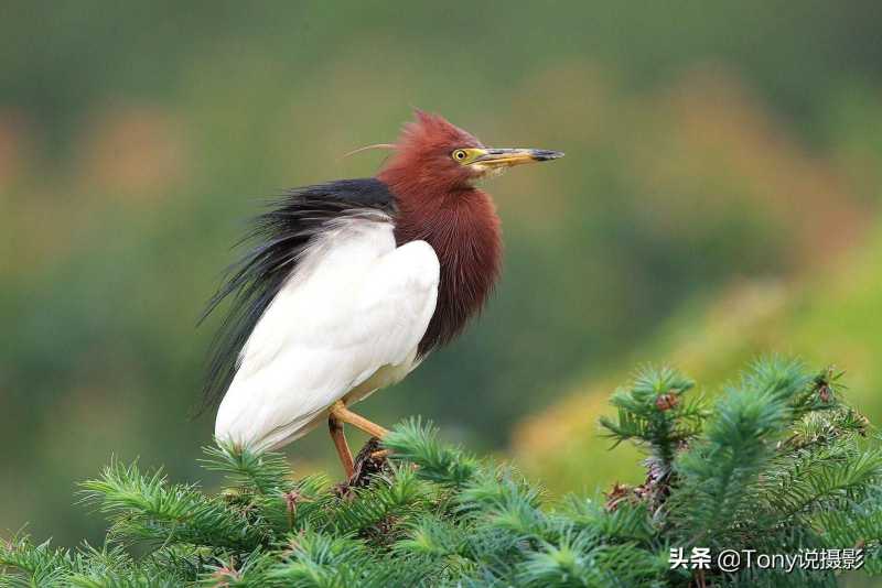 影视画面构图的基本要素是什么（电影中经典的构图案例）