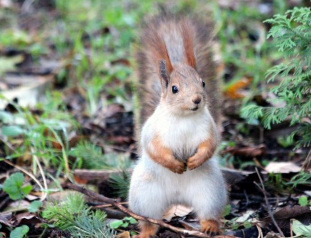 快手现在跑农业成本需要多少钱呢?快手代理商电话是多少? 快手现在跑农业成本需要多少钱呢?快手代理商电话是多少?