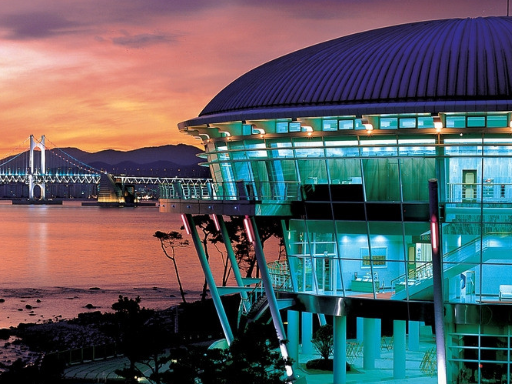 快手代运营有什么优势?比自己运营好在哪里? 快手代运营有什么优势?比自己运营好在哪里?