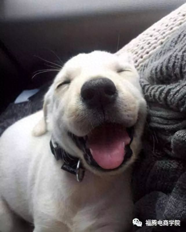 申请淘宝号怎么弄出来（免费注册淘宝账号流程）