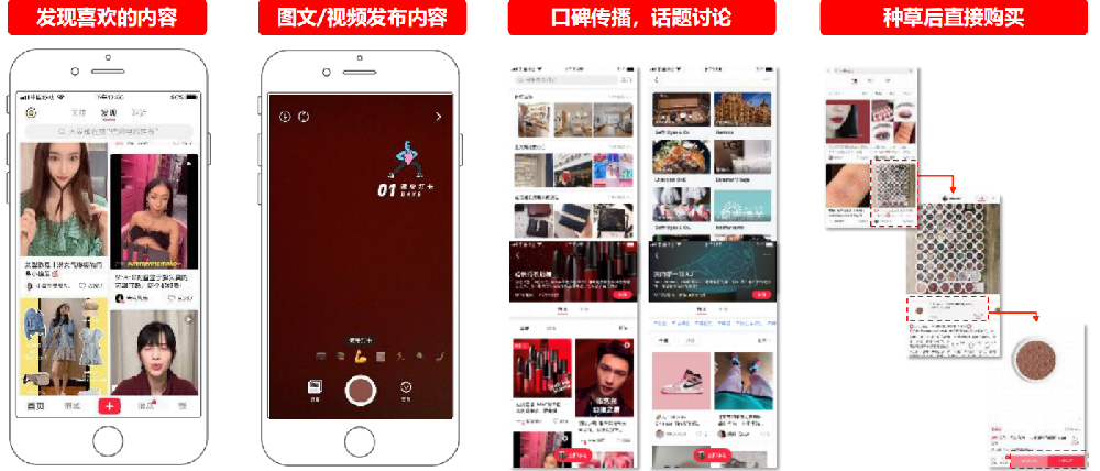 小红书的用户和品牌